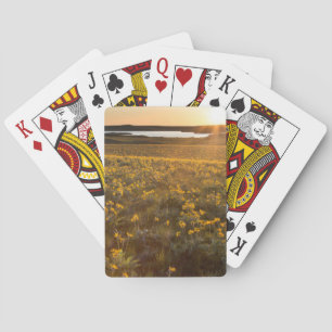 Bestand aus Pfeilblatt Balsamwurzel Wildblumen Spielkarten