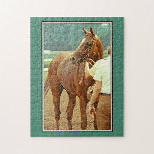 Bestätigtes Thoroughbred-Rennpferd 1978