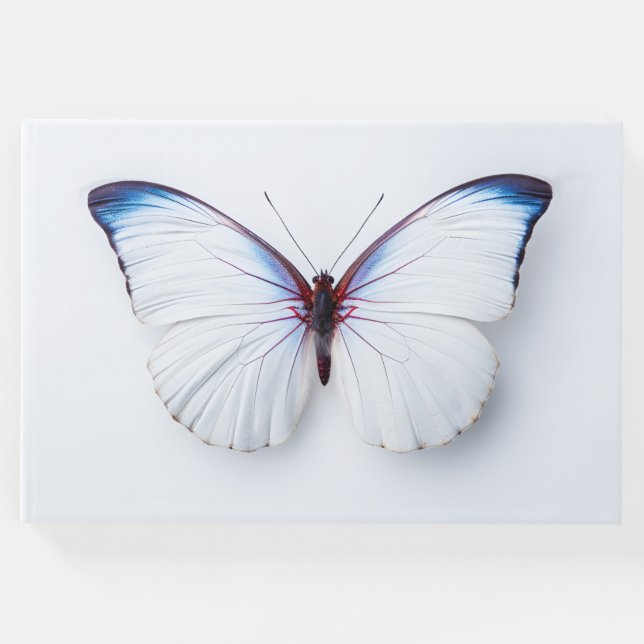 Bestattungsgast-Schmetterling Gästebuch (Vorderseite)