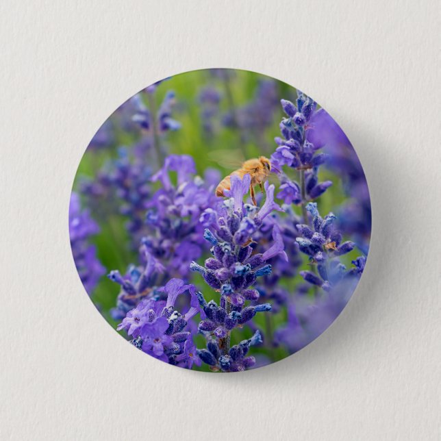 Bestäuber Rettete die Bienenzucht-Blume Kräuter Button (Vorderseite)