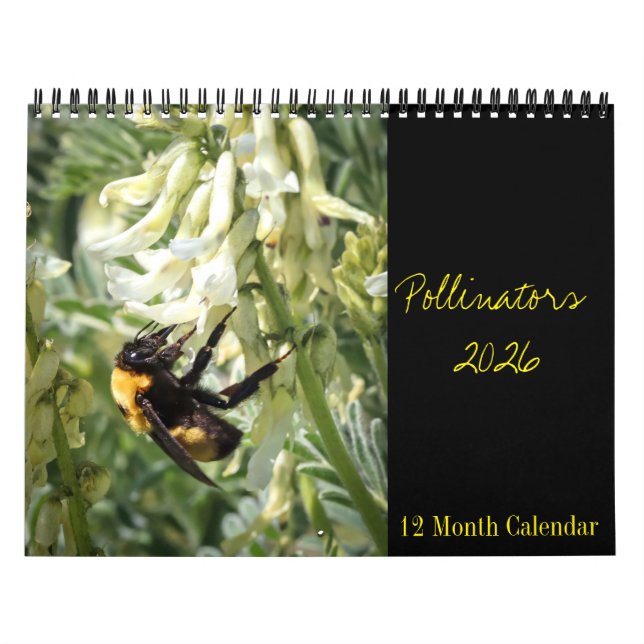 Bestäuberkalender 2026 kalender (Titelbild)