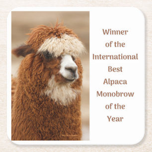 Beste Alpaka-Monobrow Rechteckiger Pappuntersetzer