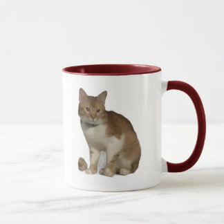 Beste Arbeitskollegen-Katzenfoto und Herzen Tasse