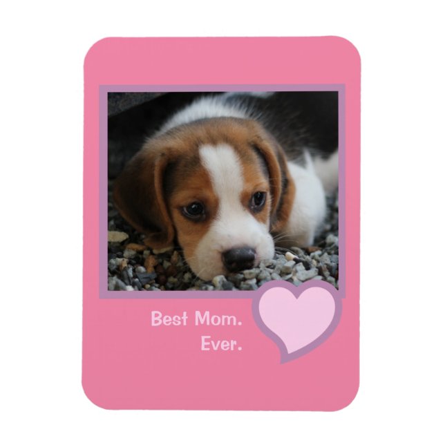 Beste Beagle-Mama je rosa Text-Pet-Foto Magnet (Vertikal)