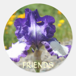 BESTE FREUND STICKER Lila Schwertlilien-Blumen-Ges
