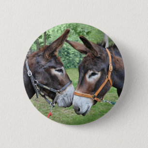 Beste Freunde des Esels Button