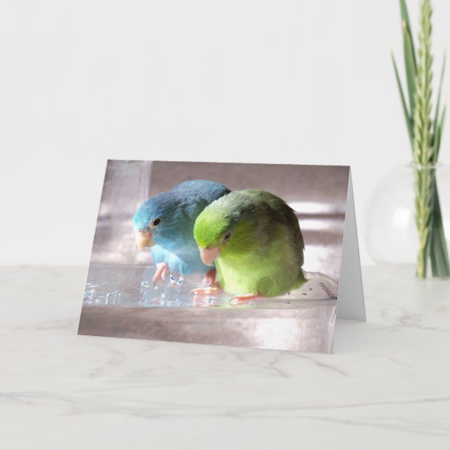 Beste Freunde für immer Parrotlet Vogel-Gruß-Karte Karte (Vorderseite)