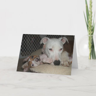 Beste Freunde… Karte