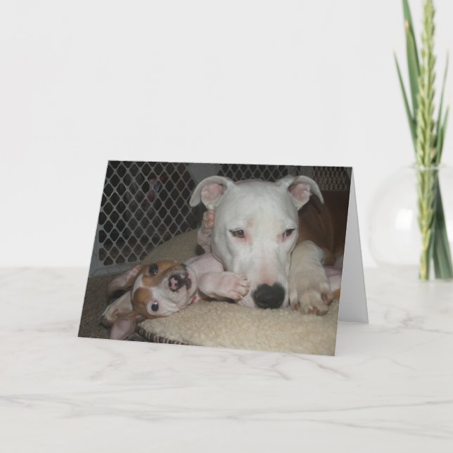 Beste Freunde… Karte (Vorderseite)