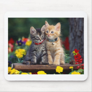 Beste Freunde Mousepad