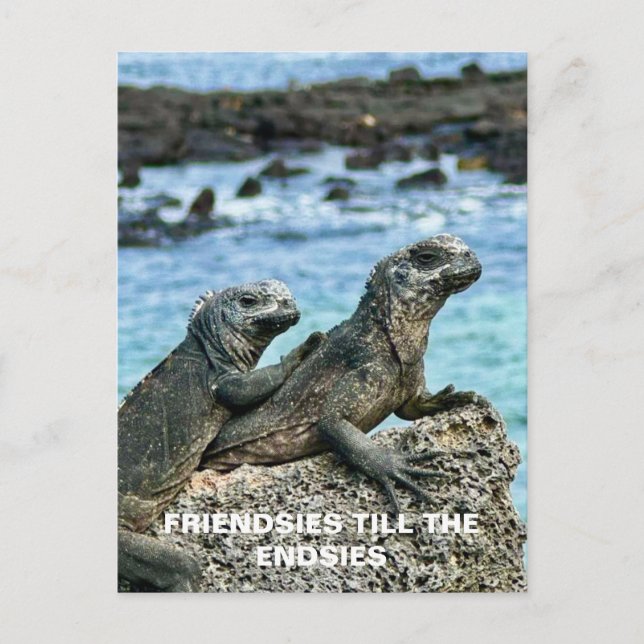 Beste Freunde Postkarte (Vorderseite)