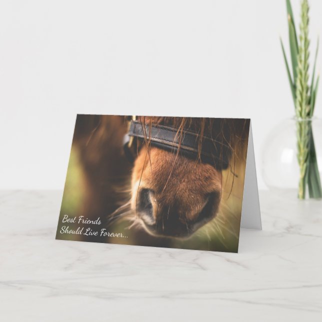 Beste Freunde Verlust des Pony Custom Horse Beilei Karte (Vorderseite)