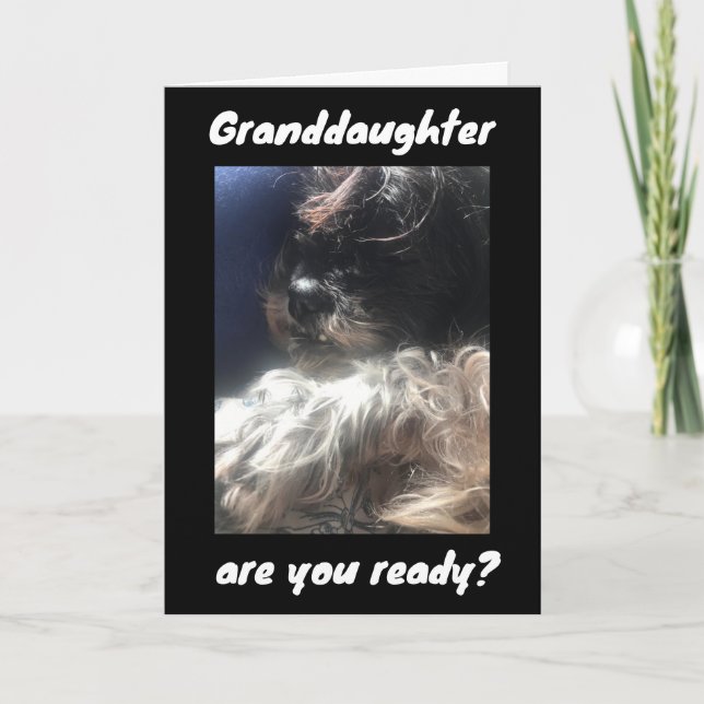 BESTE GEBURTSTAGE JE BIS ***GRANDAUGHTER***-KARTE KARTE (Vorderseite)