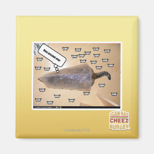 Beste Geschenkveranstaltung Magnet