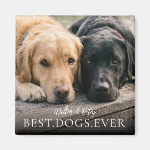 Beste Hunde Aller Zeiten Name und Foto Ihres Haust Magnet