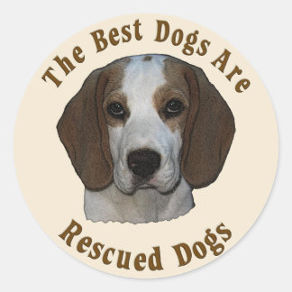 Beste Hunde werden gerettet - Beagle Runder Aufkleber