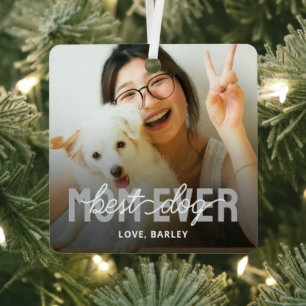 Beste Hundemutter Aller Zeiten Haustier Foto Ornament Aus Metall