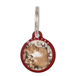 Beste Katzenfamilie überhaupt, Katzenfoto, Haustiermarke