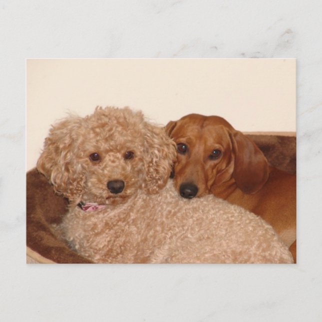 Beste Kauffrau Postkarte (Vorderseite)