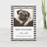 Beste Mama für Hunde | Schwarz | Muttertag des Fot