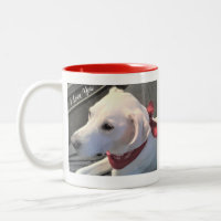 Beste Mama je Labrador Retriever Mix Red