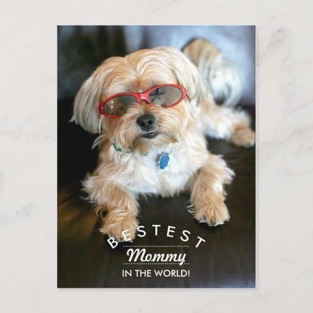 Beste Mommy Custom Doggie Mutter Tag Postkarte (Vorderseite)