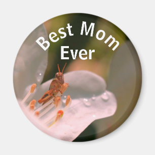 Beste Mutter überhaupt Grashüpfer auf Azaleenblüte Magnet