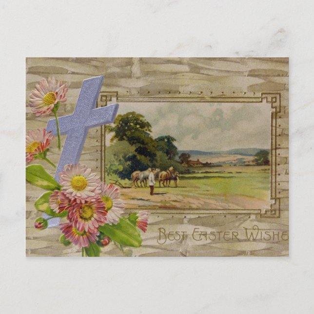 Beste Osterwünsche Feiertagspostkarte (Vorderseite)