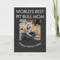 Beste Pit Bull-Mutter der Welt