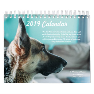 Beste Tatze schicken Kalender 2019 nach