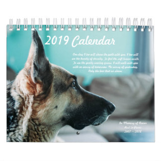 Beste Tatze schicken Kalender 2019 nach