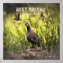 Beste Vogeljagd in Upland Poster