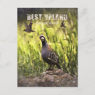 Beste Vogeljagd in Upland Postkarte