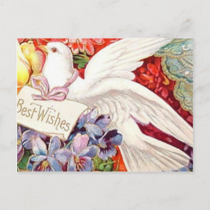 Beste Wünsche Viktorianische Dove Hochzeit Geburts Postkarte
