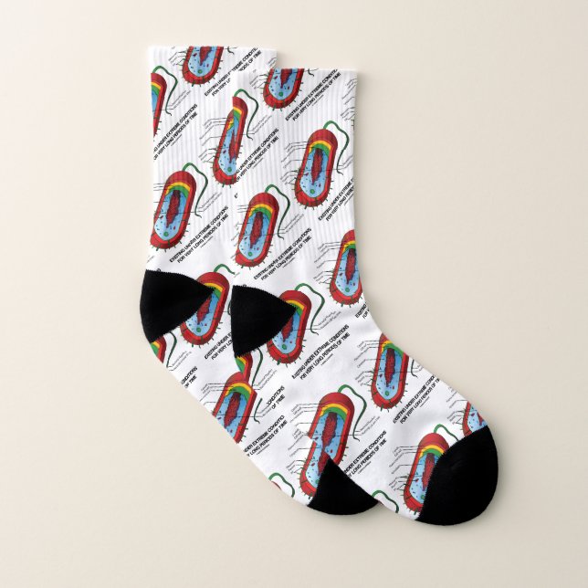 Bestehendes Prokaryote unter extremen Bedingungen Socken (Paar)