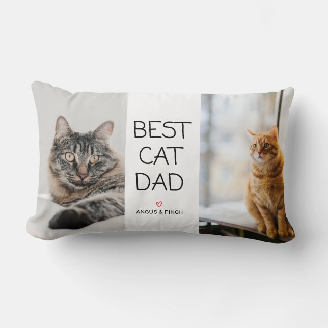 Bester Cat Vater Lumbar Kissen (Vorderseite)