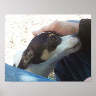 Bester Freund Poster