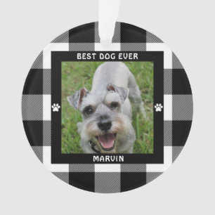 BESTER HUND ALLE ZEIT Foto Schwarz und Weiß Büffel Ornament