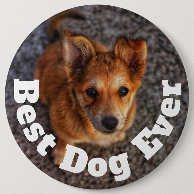 Bester Hund Aller Zeiten Button (Vorderseite)