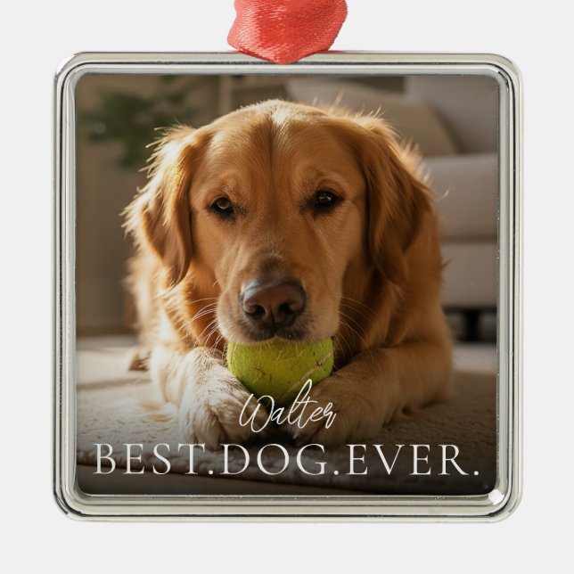 Bester Hund Aller Zeiten Dein Name des Haustieres  Ornament Aus Metall (Vorne)