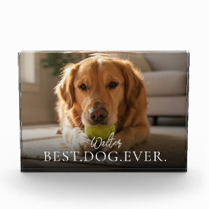 Bester Hund Aller Zeiten - Foto-Block für Haustier Fotoblock