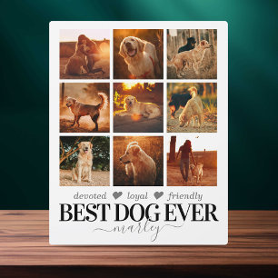 Bester Hund Aller Zeiten Foto Fotoplatte