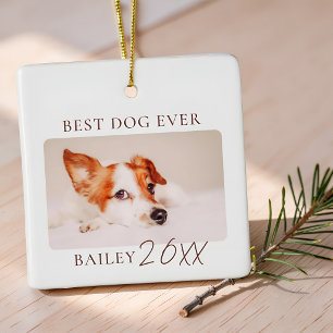 Bester Hund Aller Zeiten Foto Moderne Minimalistis Keramikornament
