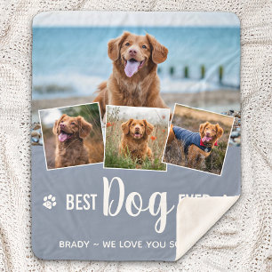 Bester Hund je Moderne Grau Fotosammlung Sherpadecke