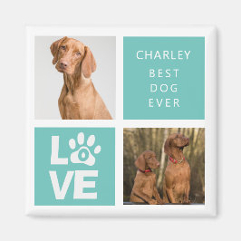 Bester Hund je | Personalisiertes Foto Magnet