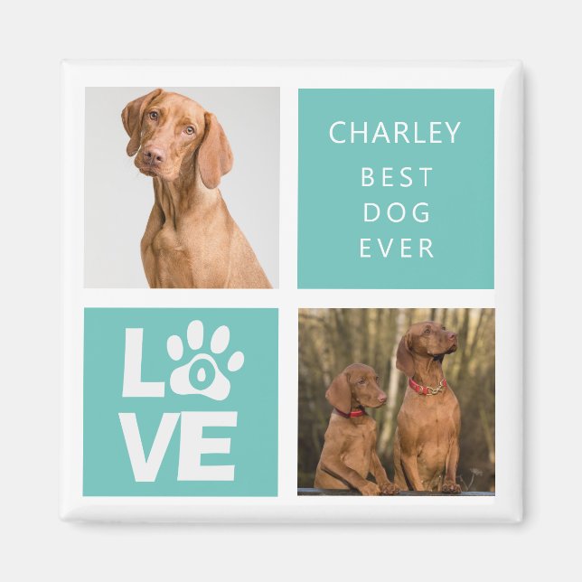 Bester Hund je | Personalisiertes Foto Magnet (Vorne)