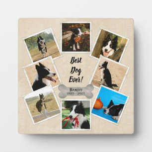Bester Hund je Personalisiertes Foto Pet Memorial Fotoplatte