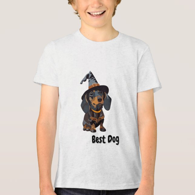 Bester Hund Tri-Blend Shirt (Vorderseite)