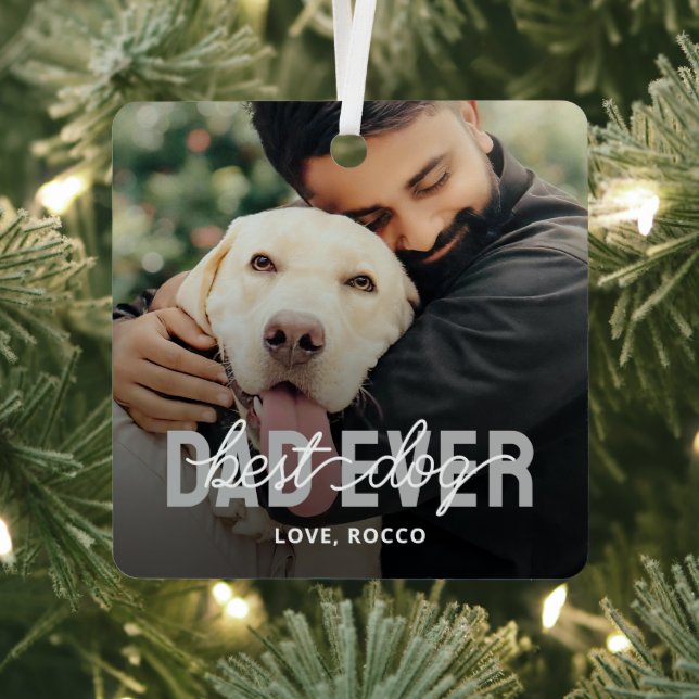 Bester Hund-Vater je Begleiter-Foto Ornament Aus Metall (InSitu)