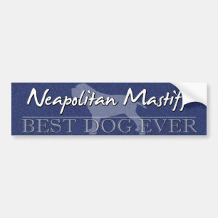 Bester Hundeneapolitanischer Mastiff-Autoaufkleber Autoaufkleber